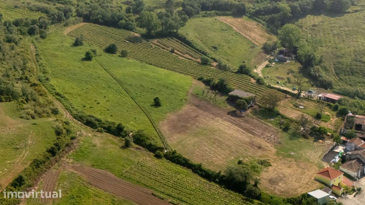 Terreno de 4000m² c/ Viabilidade de Construção em Maceira, Dois Portos - Grande imagem: 2/27