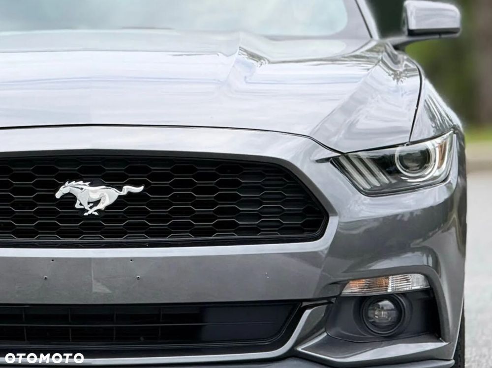 Ford Mustang 3.7 V6 - 14