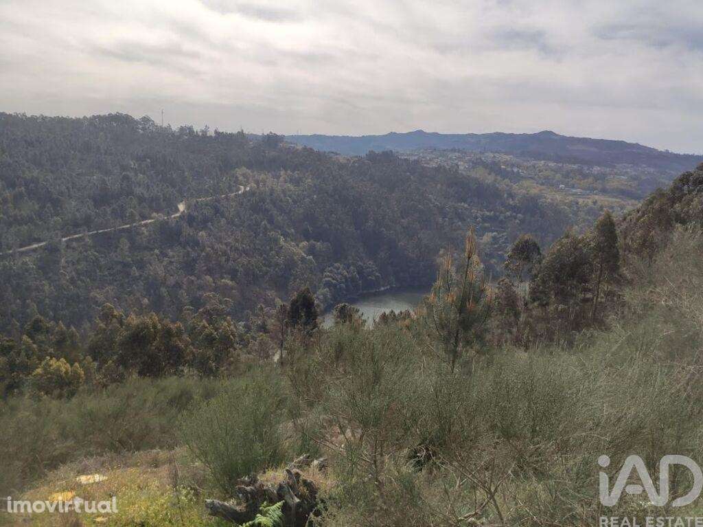 Terreno em Vila Boa de Quires e Maureles de 12000,00 m2 - Grande imagem: 4/12