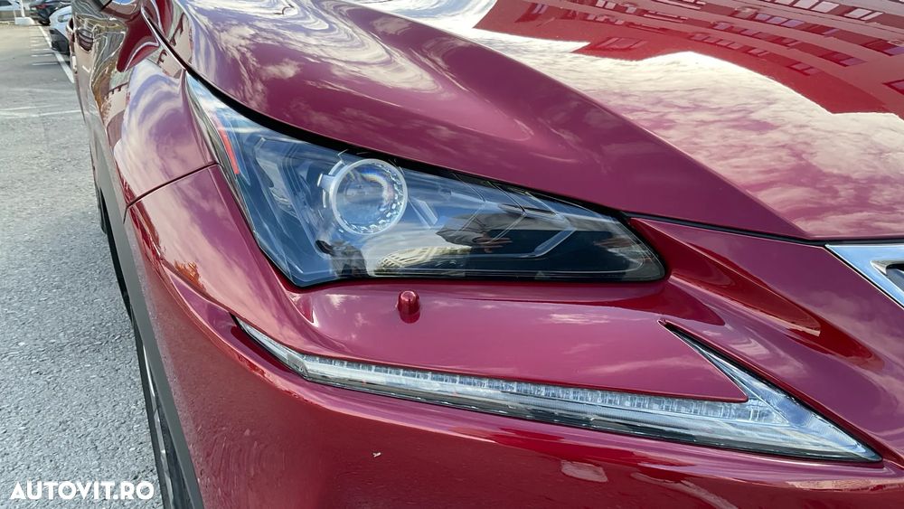 Lexus Seria NX 300h AWD Executive Plus - 25