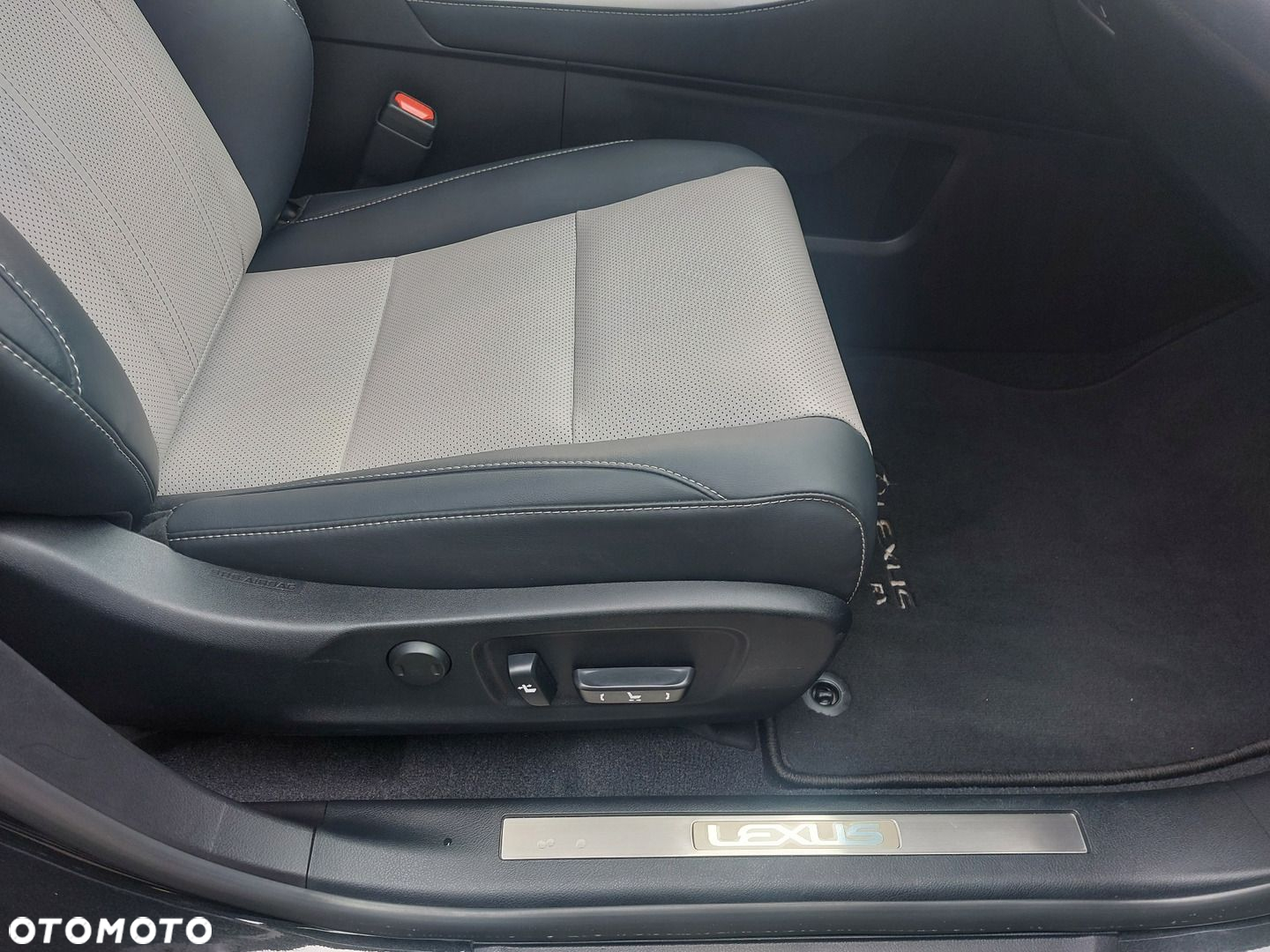Lexus RX 450h F-Impression - 18