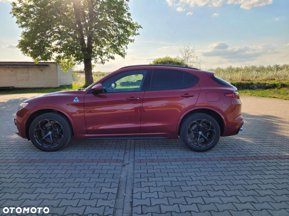 Alfa Romeo Stelvio V6 2.9 Bi-Turbo AT8-Q4 Quadrifoglio - 22