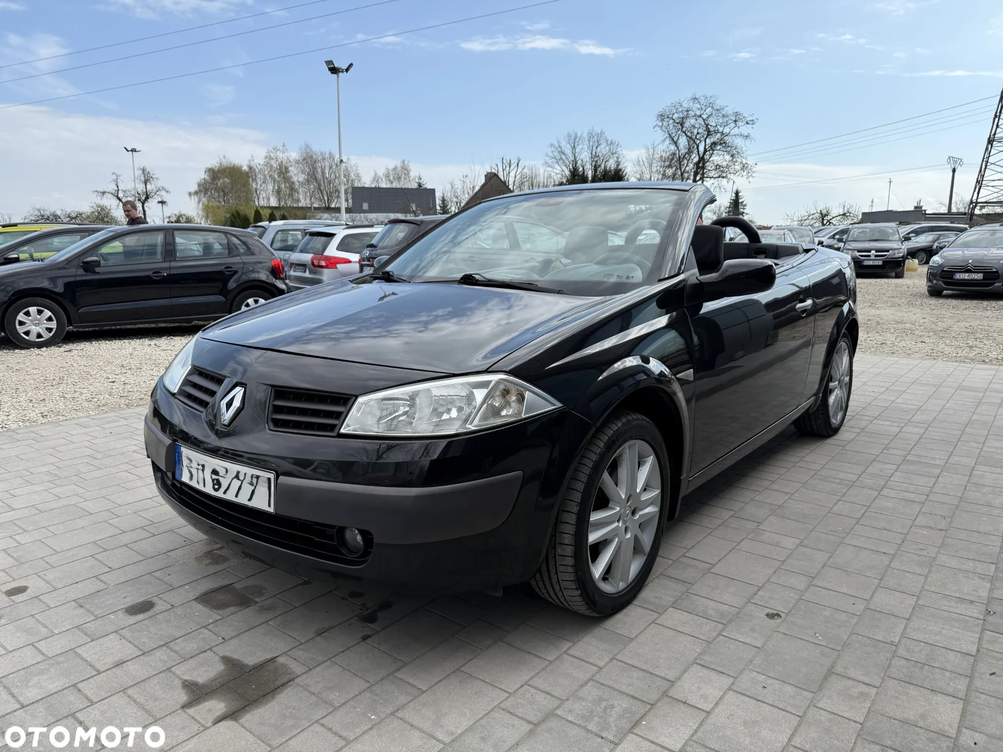 Renault Megane II 2.0 Luxe Privilege - 9