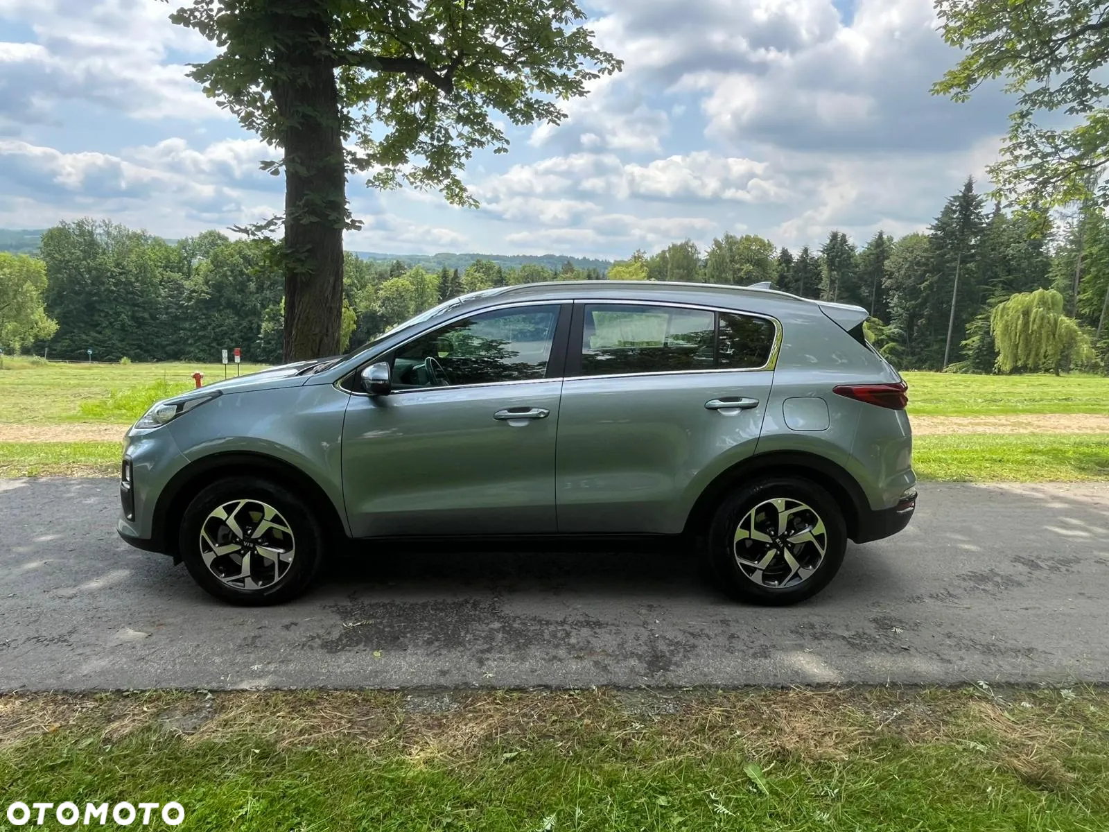Kia Sportage 1.6 CRDI 2WD Eco-Dynamics+ (48V M-H) Spirit - 4