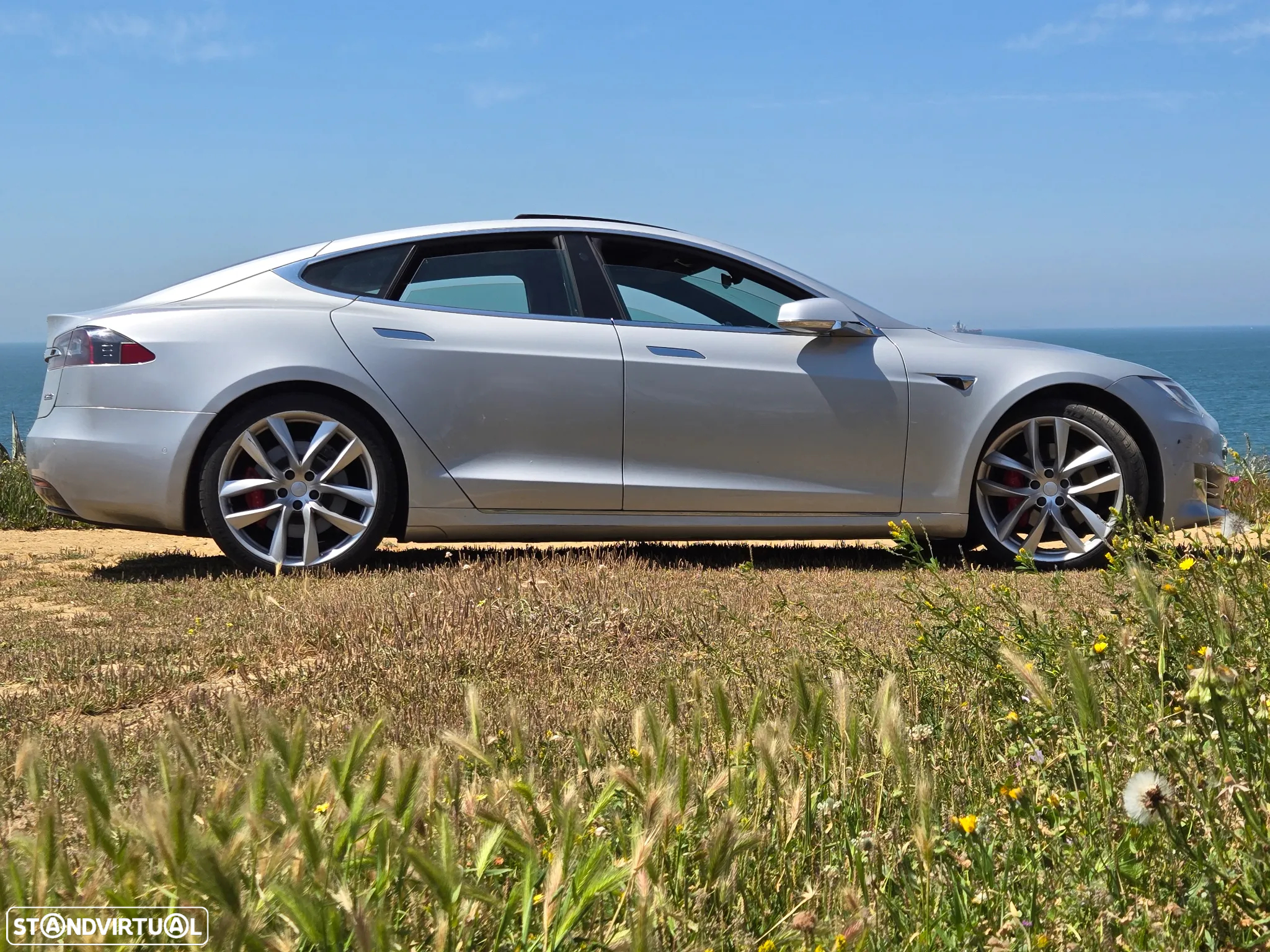 Tesla Model S P100D - 8