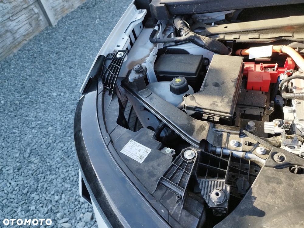Renault Scenic 220 Long Range Iconic - 23