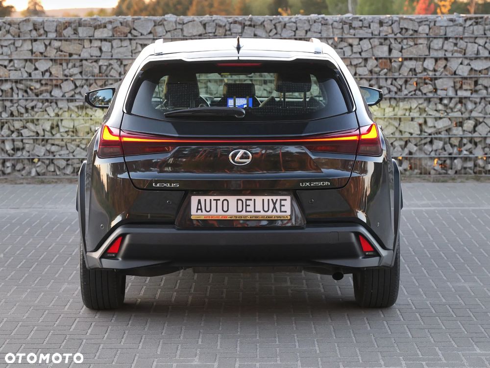 Lexus UX 250h GPF Elegance 2WD - 10