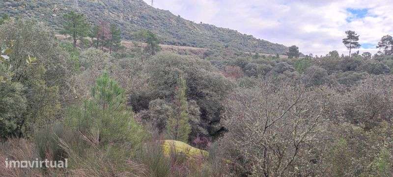 Prédio Rustico com 1,55 Ha