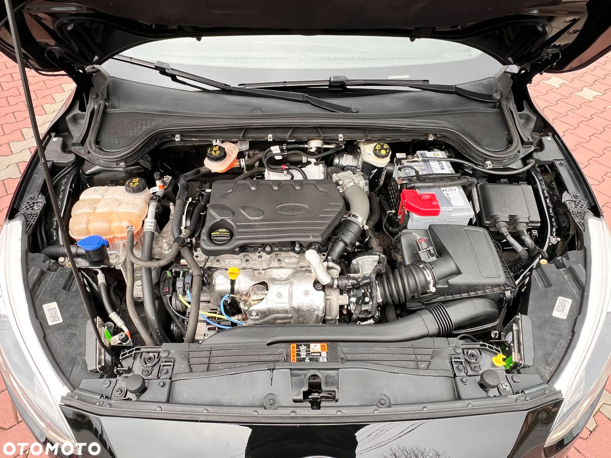 Ford Focus 1.5 EcoBlue Titanium - 34