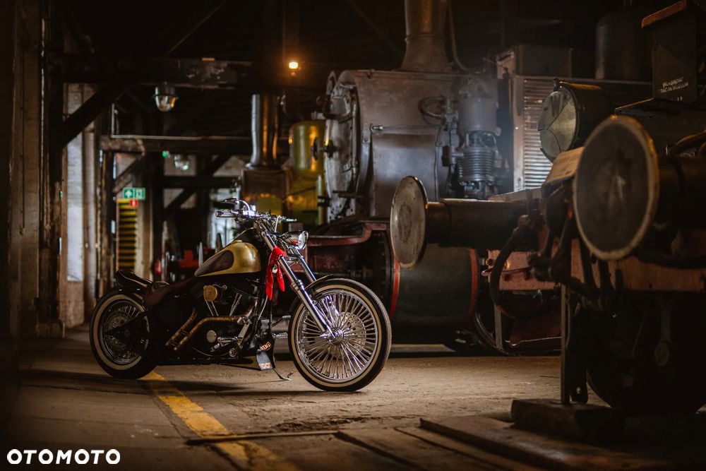 Harley-Davidson Softail - 7