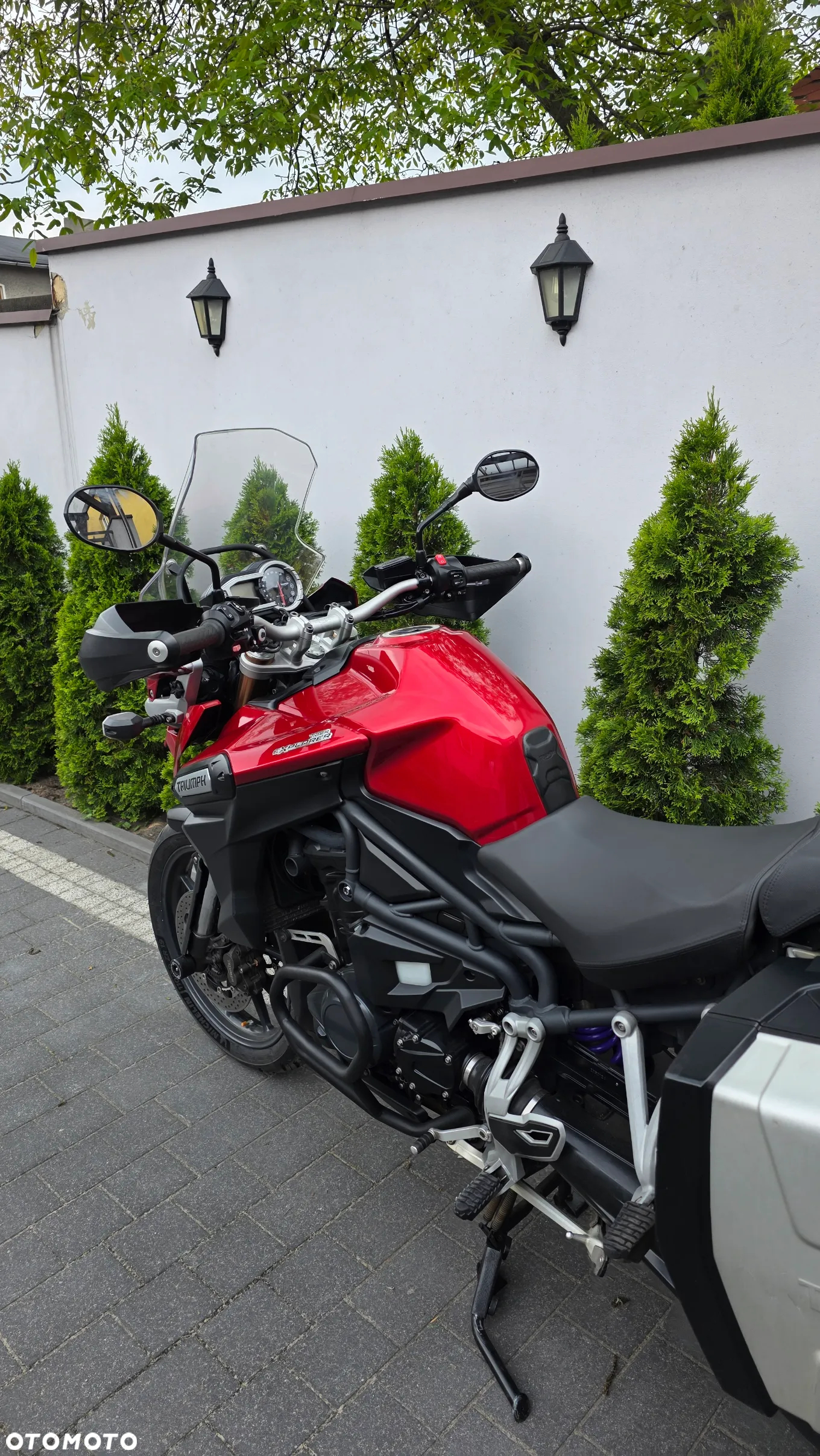Triumph Tiger - 5