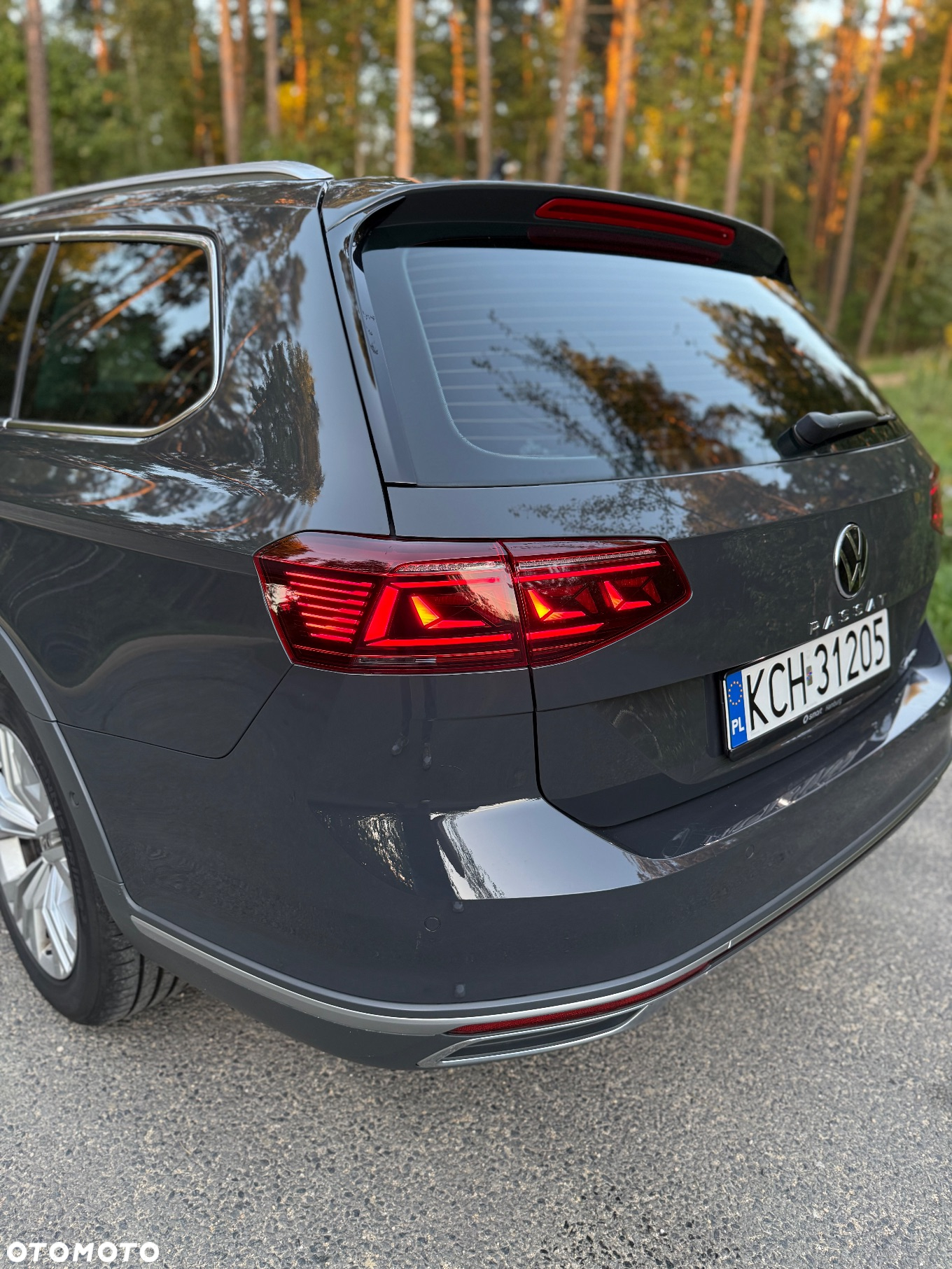 Volkswagen Passat Alltrack 2.0 TDI 4Mot DSG - 10