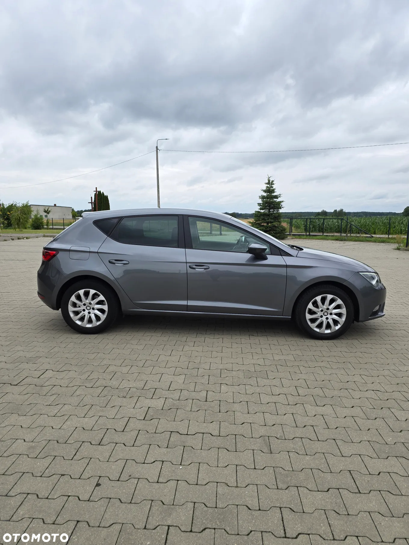 Seat Leon 1.6 TDI DPF Start&Stop Reference - 16