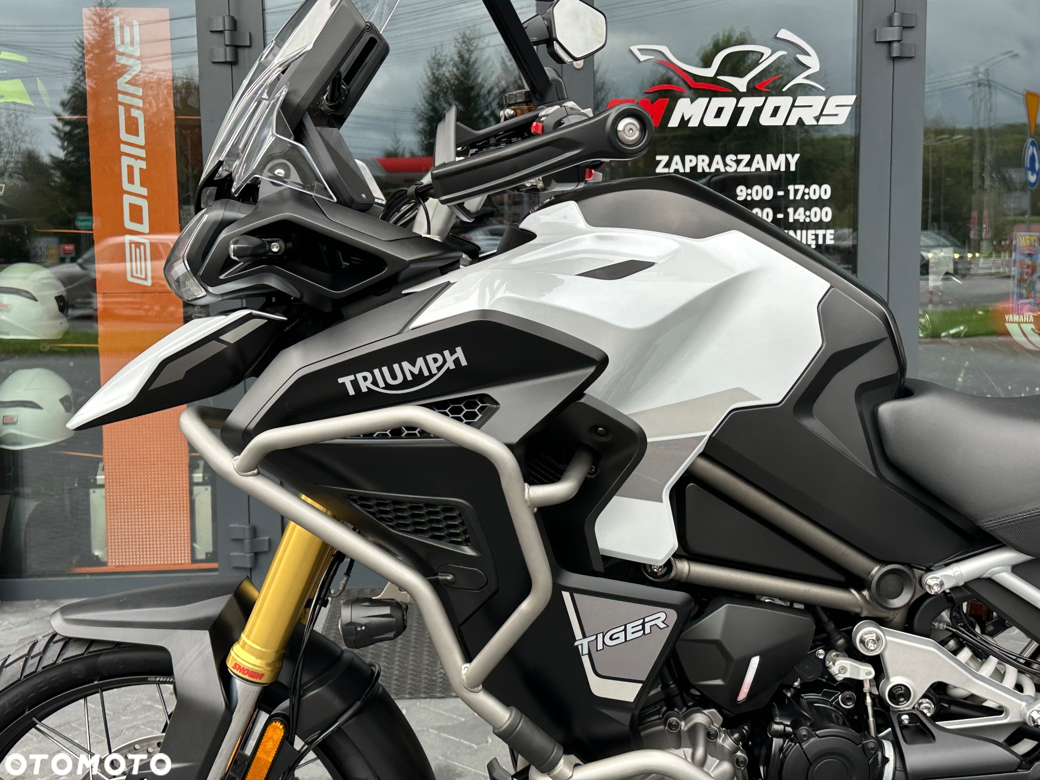 Triumph Tiger - 38