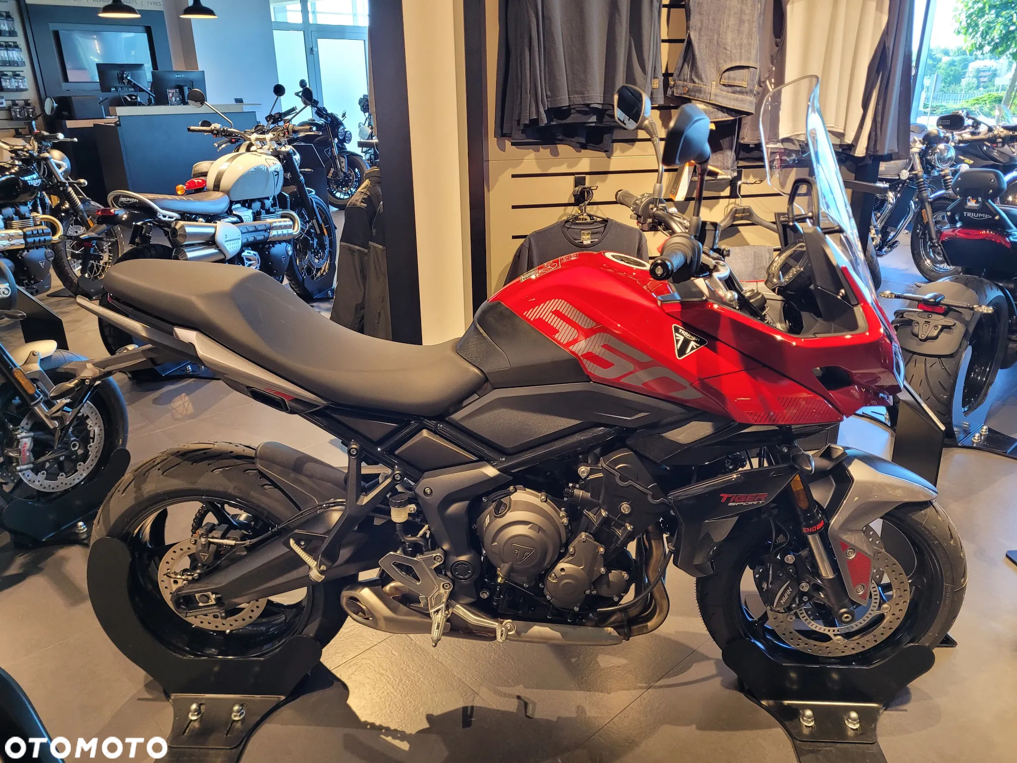 Triumph Tiger