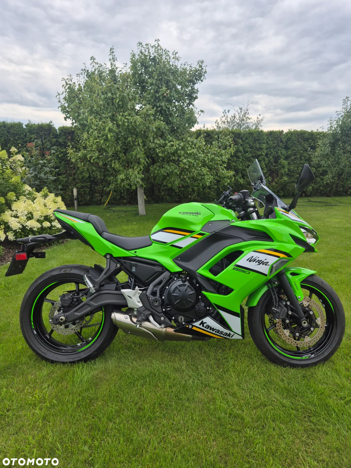 Kawasaki Ninja - 4