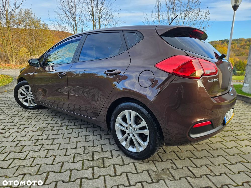 Kia Ceed 1.6 GDI Fifa World Cup Edition - 3