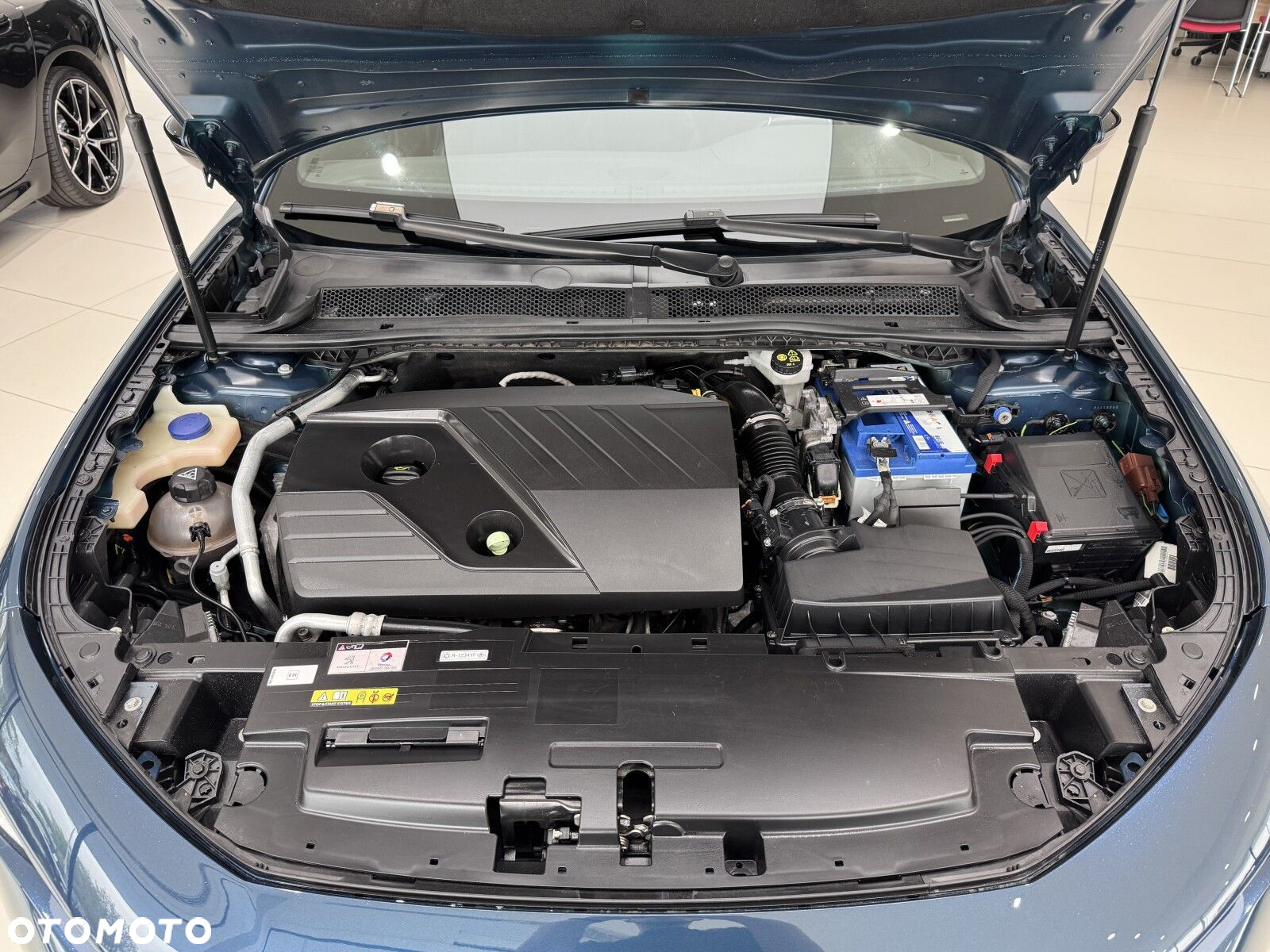Peugeot 508 2.0 BlueHDi GT Line S&S EAT8 - 19