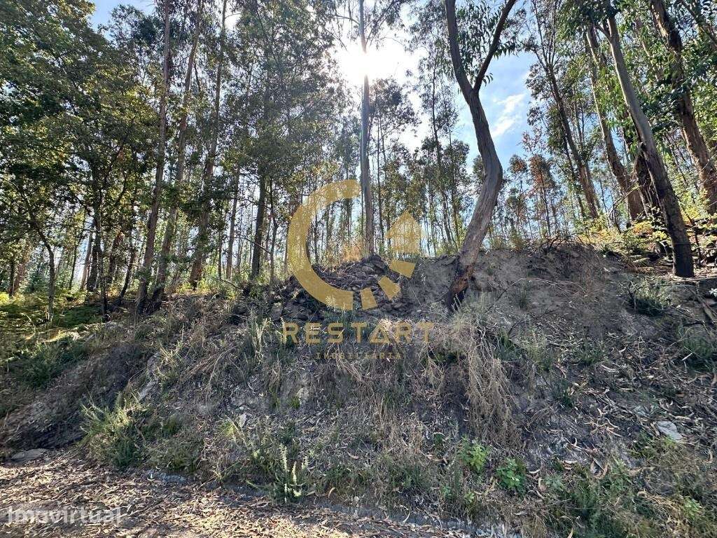 Terreno Rústico para venda em Vila Boa do Bispo, Marco de Canaveses - Grande imagem: 4/29