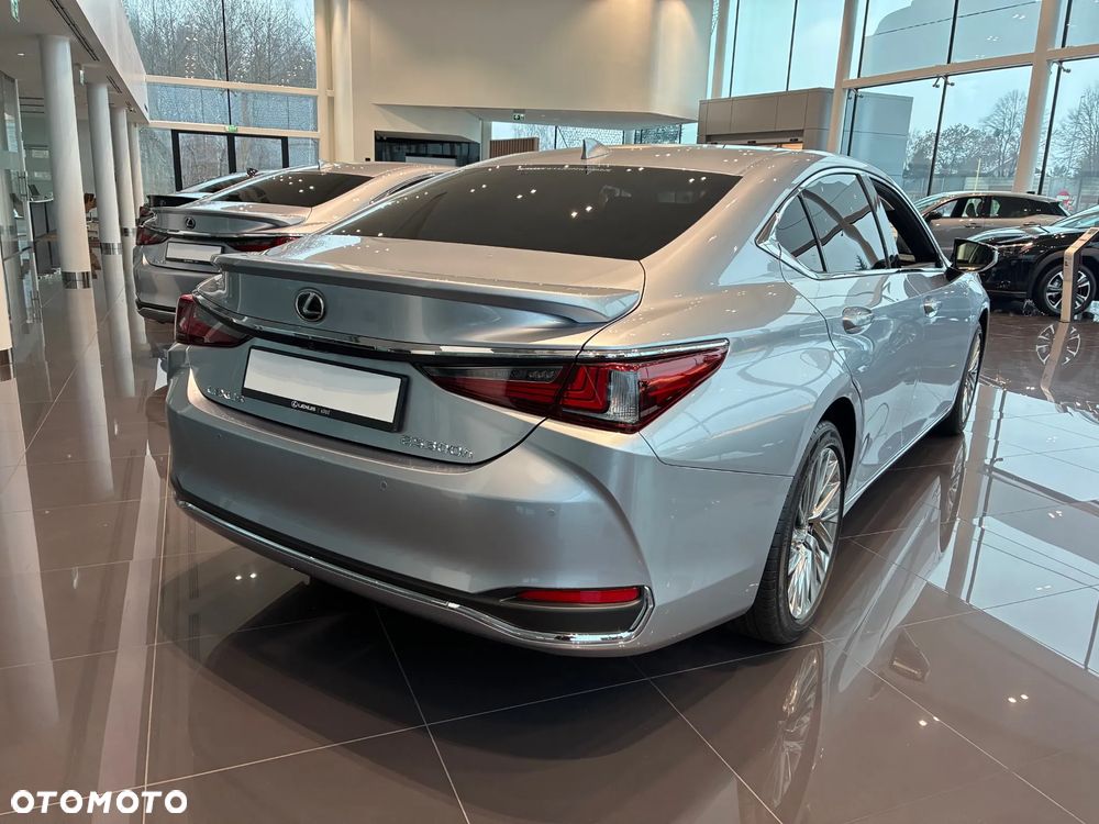 Lexus ES 300h Omotenashi - 6