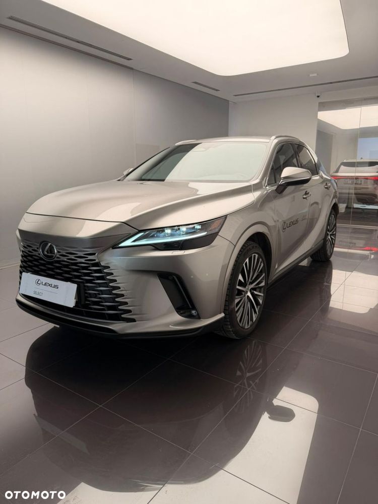 Lexus RX - 3