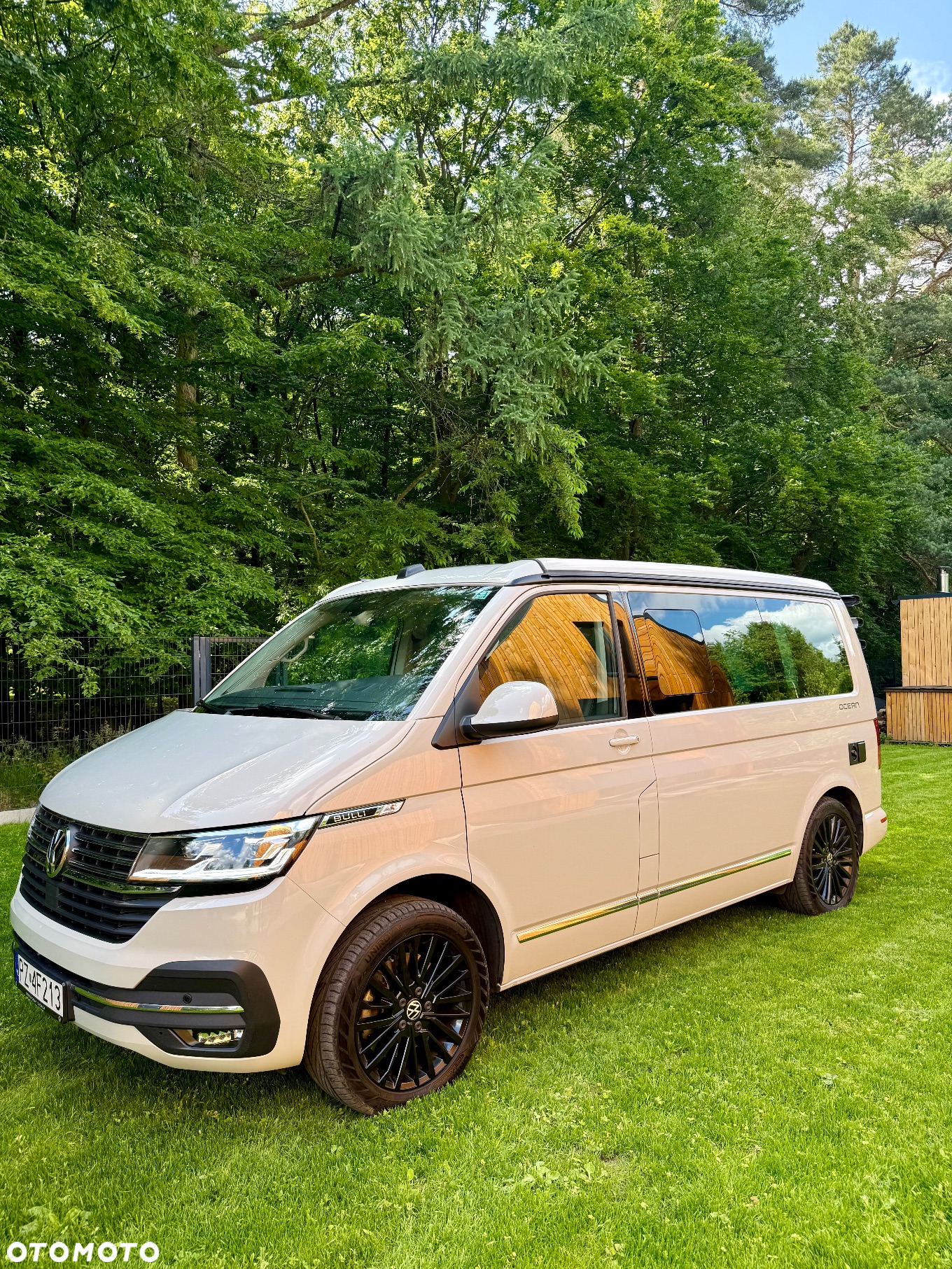 Volkswagen California - 8
