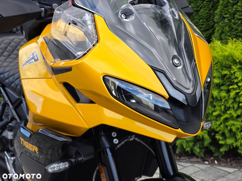 Triumph Tiger - 14