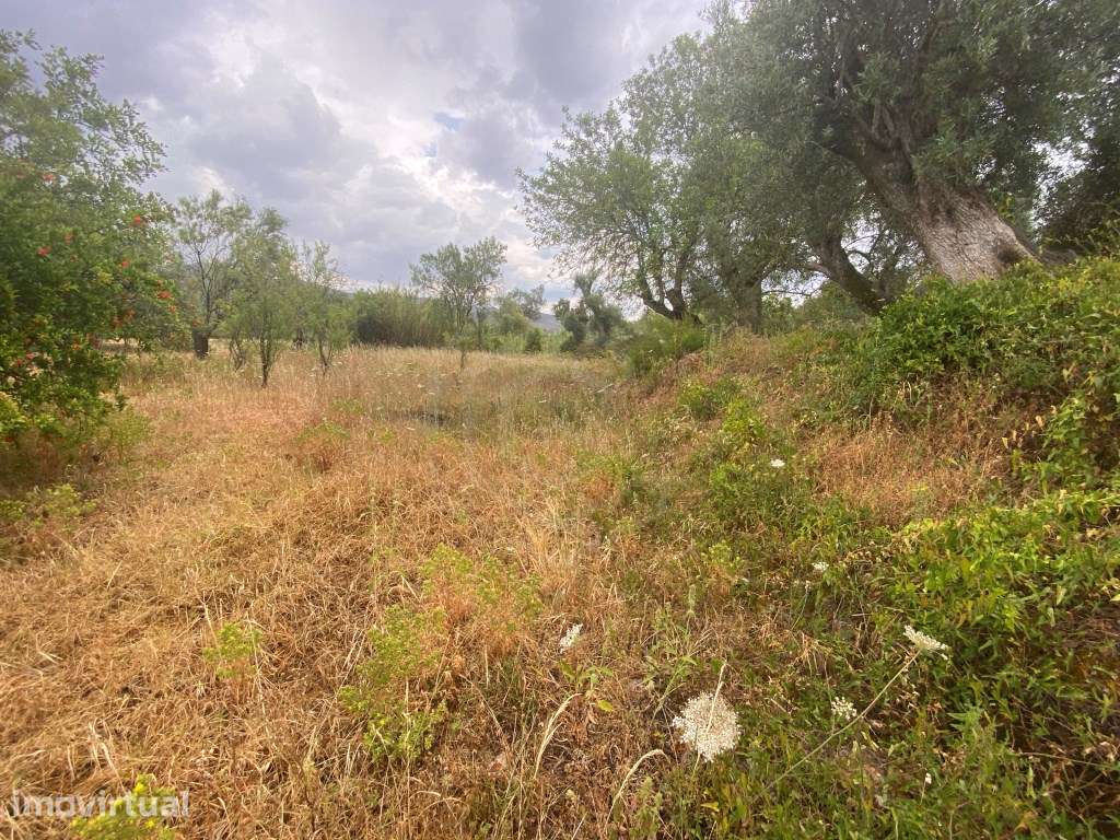 Lote de terreno rústico com a área total de 610m2, Salir, Algarve - Grande imagem: 2/9