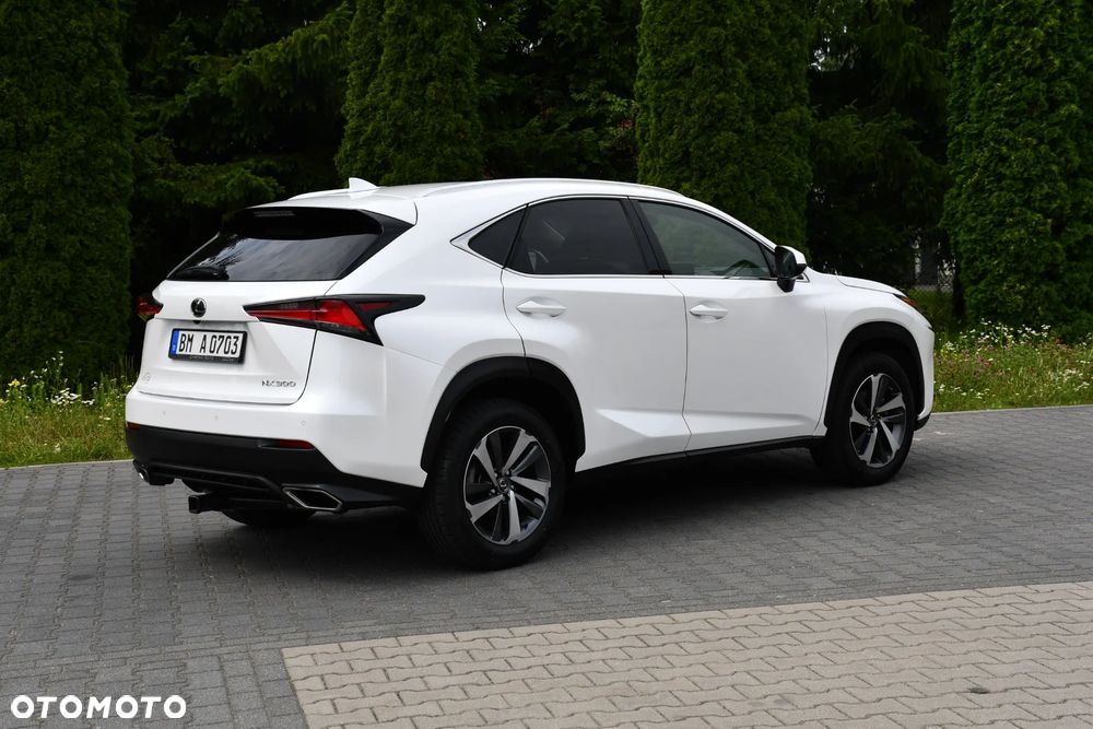 Lexus NX 300 Prestige AWD - 19