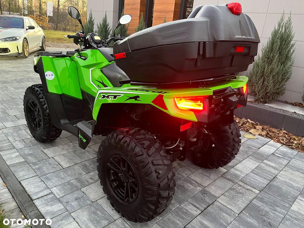 Arctic Cat Inny
