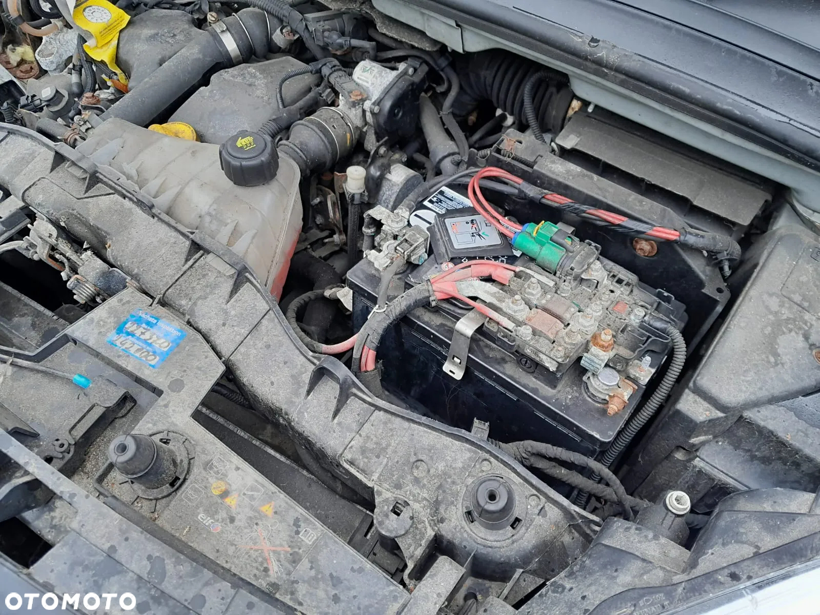 Renault KANGOO - 23