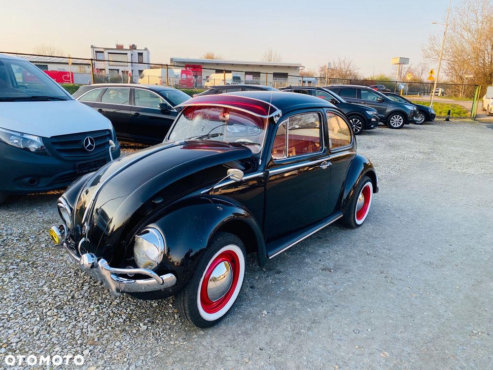 Volkswagen Garbus - 2