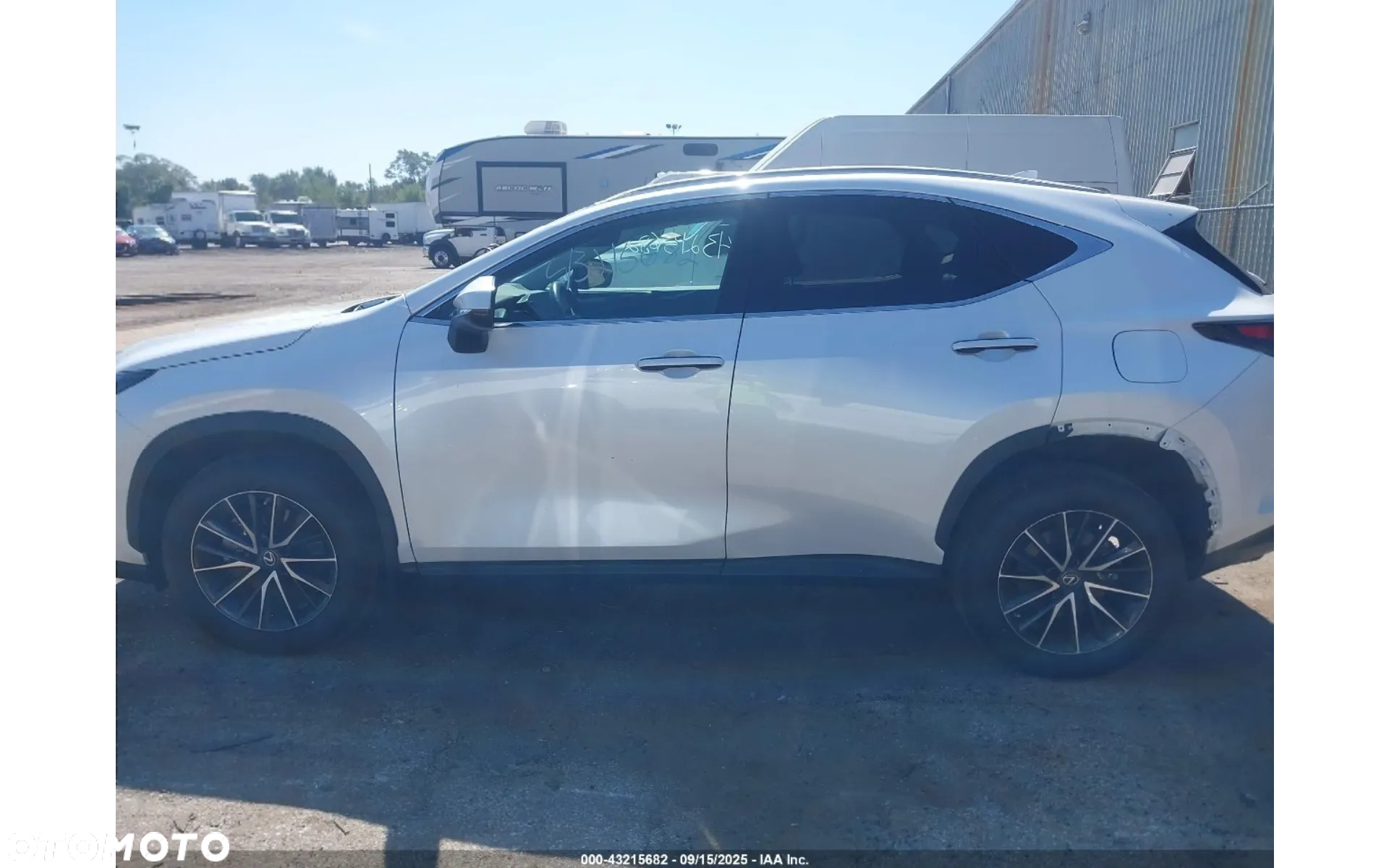 Lexus NX 350h Business AWD - 8