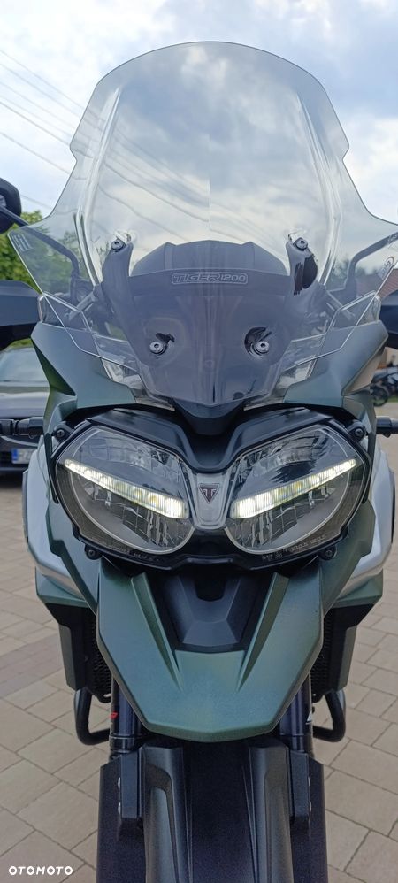 Triumph Tiger - 16