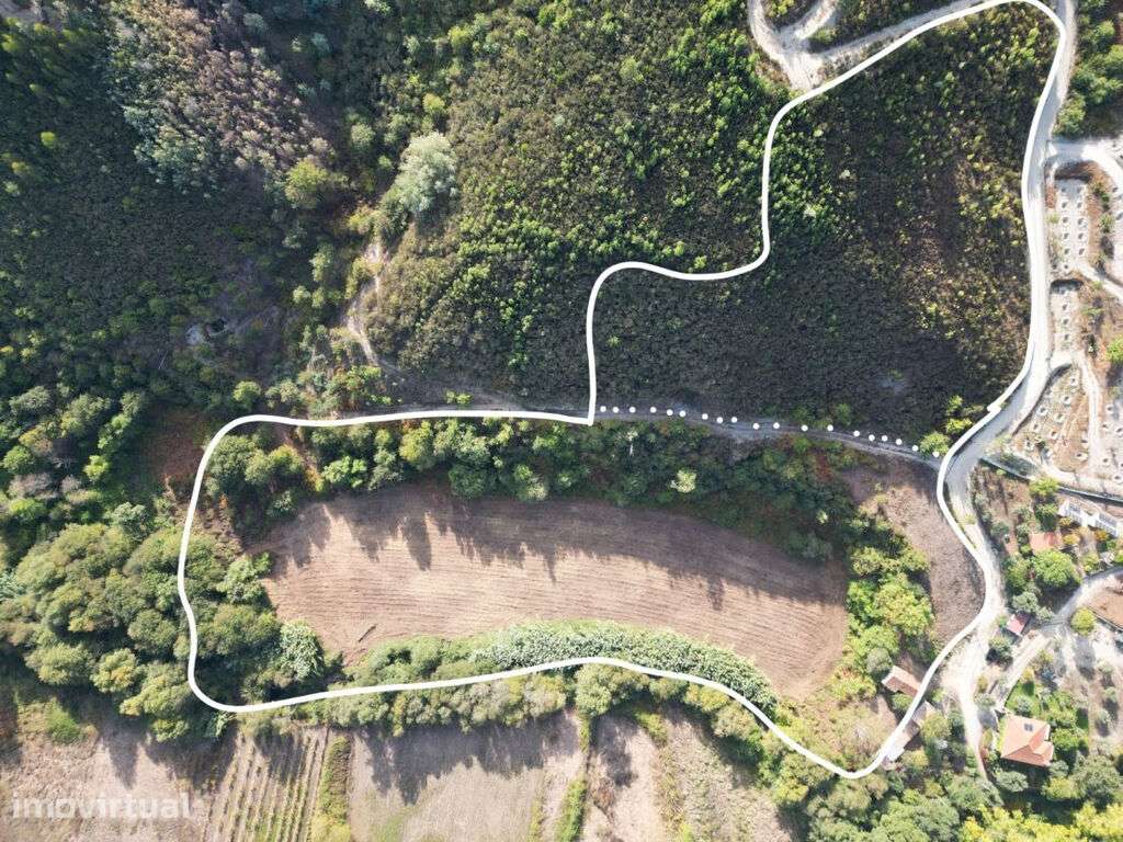 Moradia T2 em Xisto no Pisão, freguesia de Côja e Barril de Alva - Grande imagem: 2/10