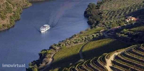 Vende-se terreno rústico em Ancede, com vista rio Douro - Grande imagem: 5/5