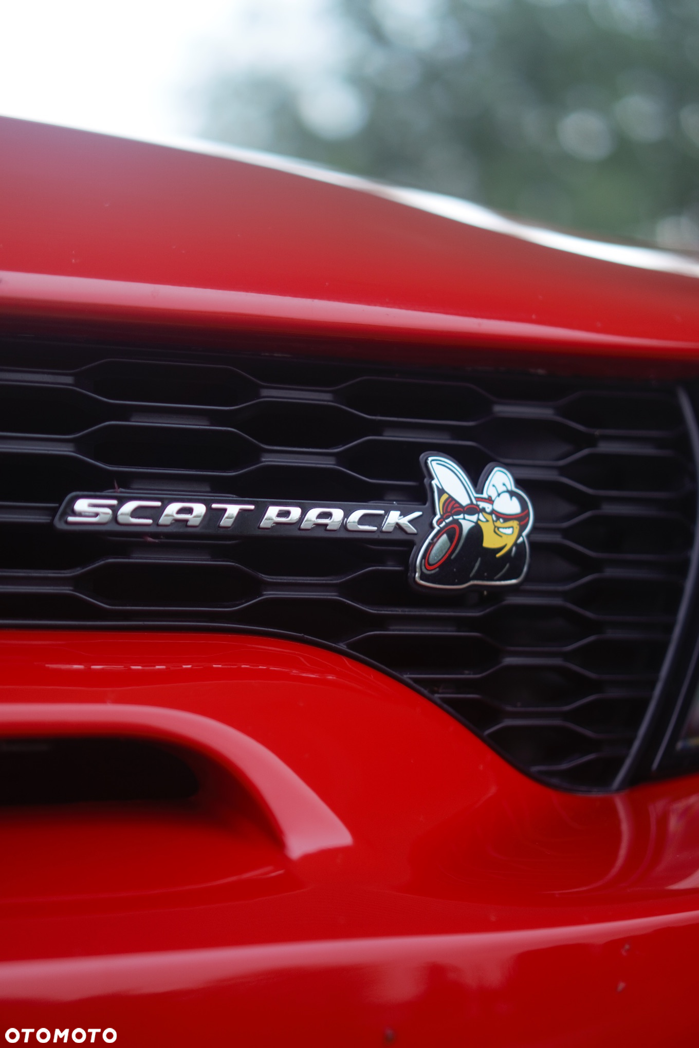 Dodge Charger 6.4 Scat Pack Widebody - 5