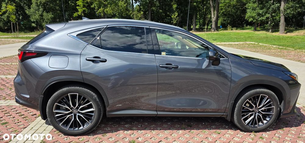 Lexus NX 450h+ Omotenashi AWD - 4