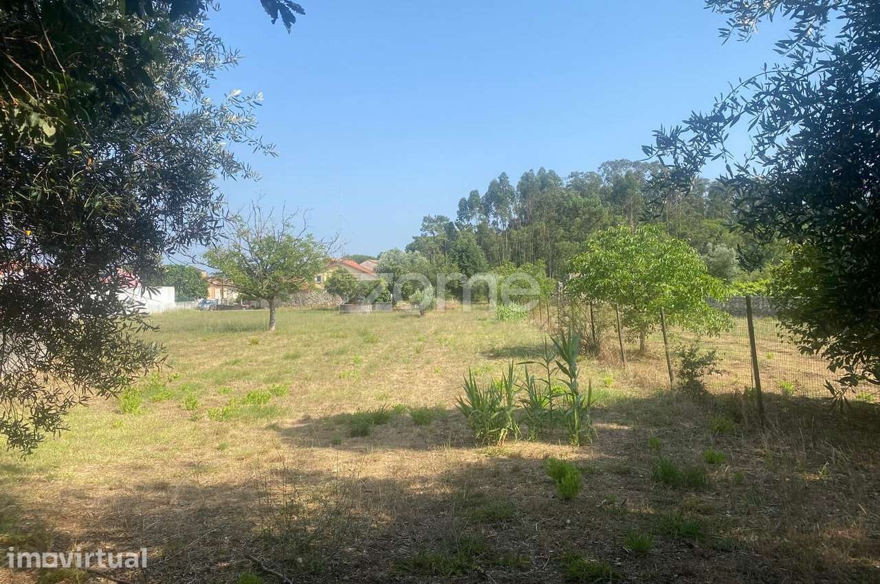 Lote de terreno - Grande imagem: 4/24