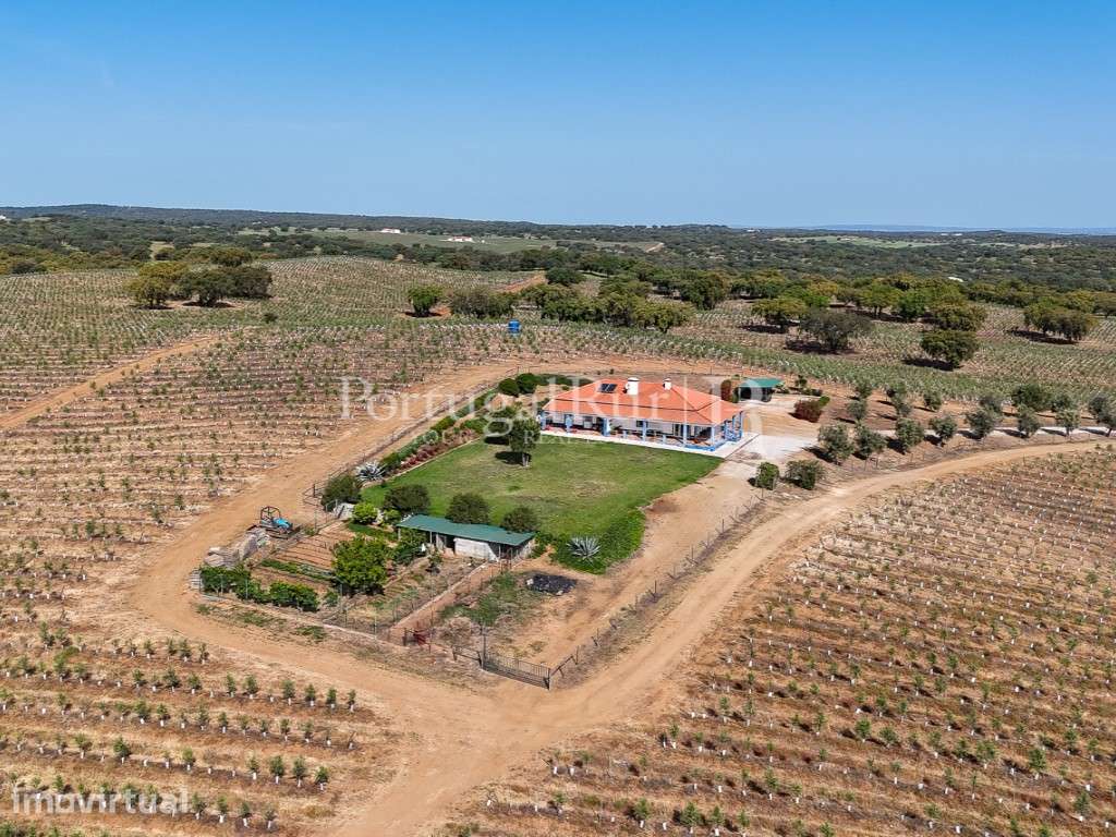 Herdade com 463 hectares em Évora - Grande imagem: 5/47