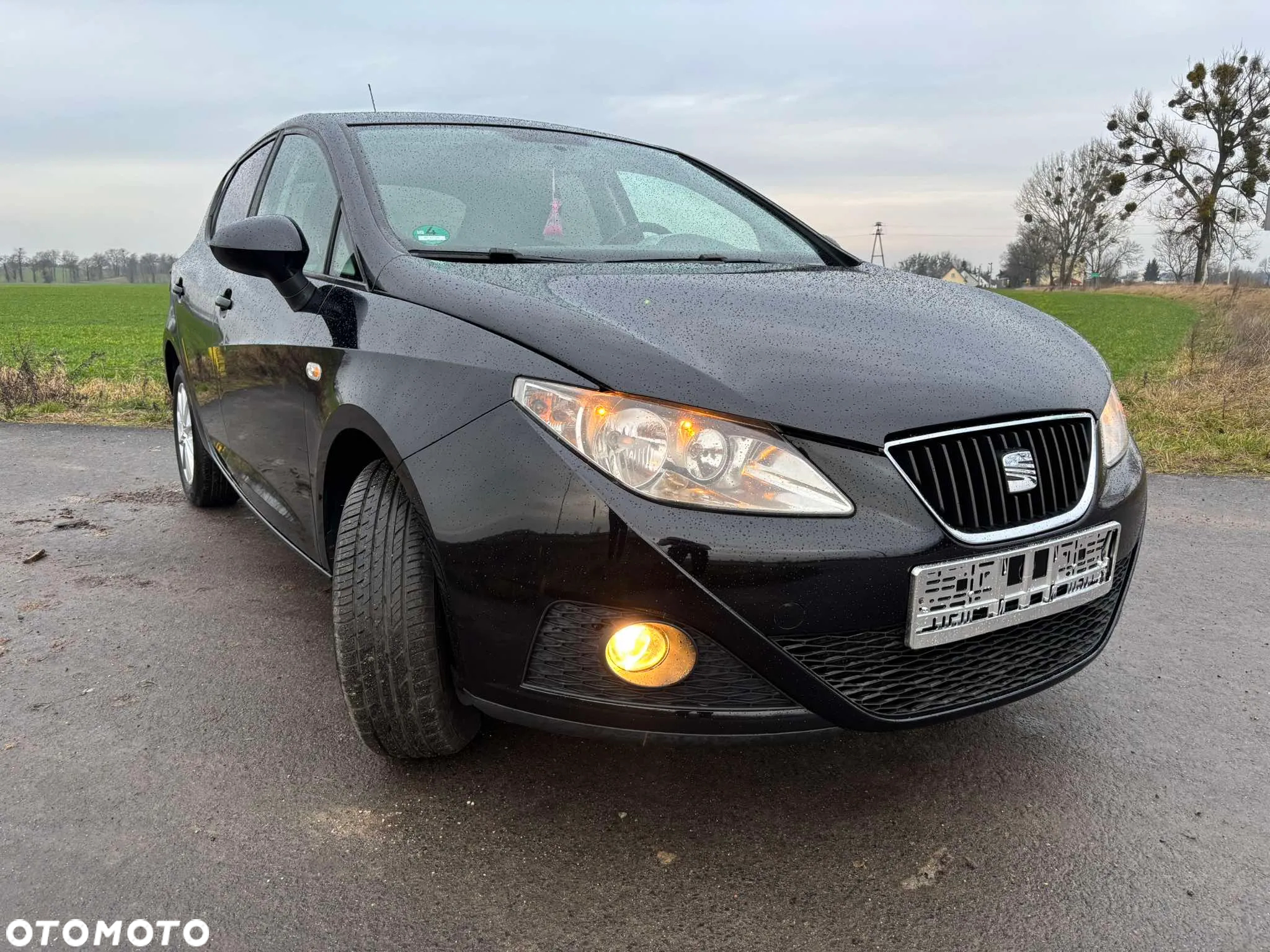 Seat Ibiza - 15