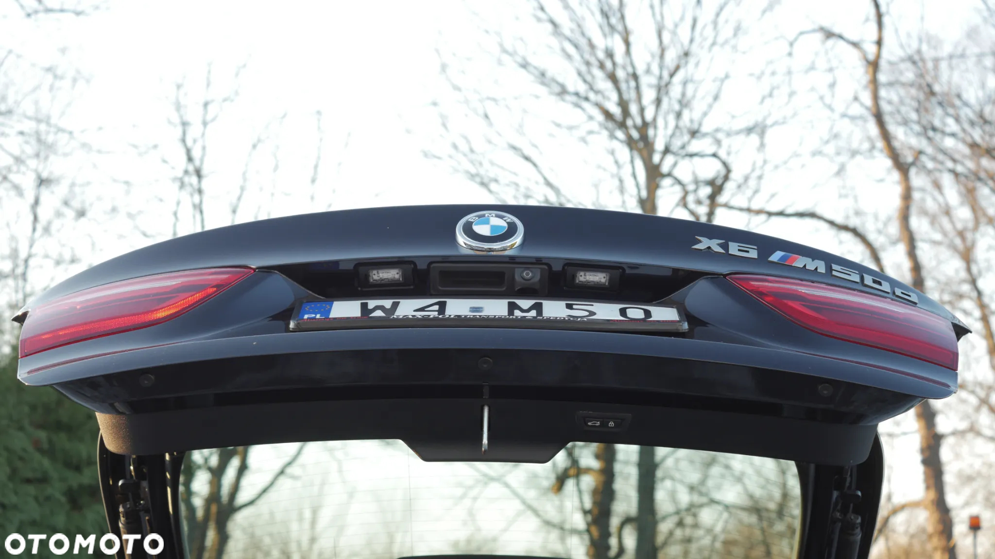 BMW X6 M50d - 10