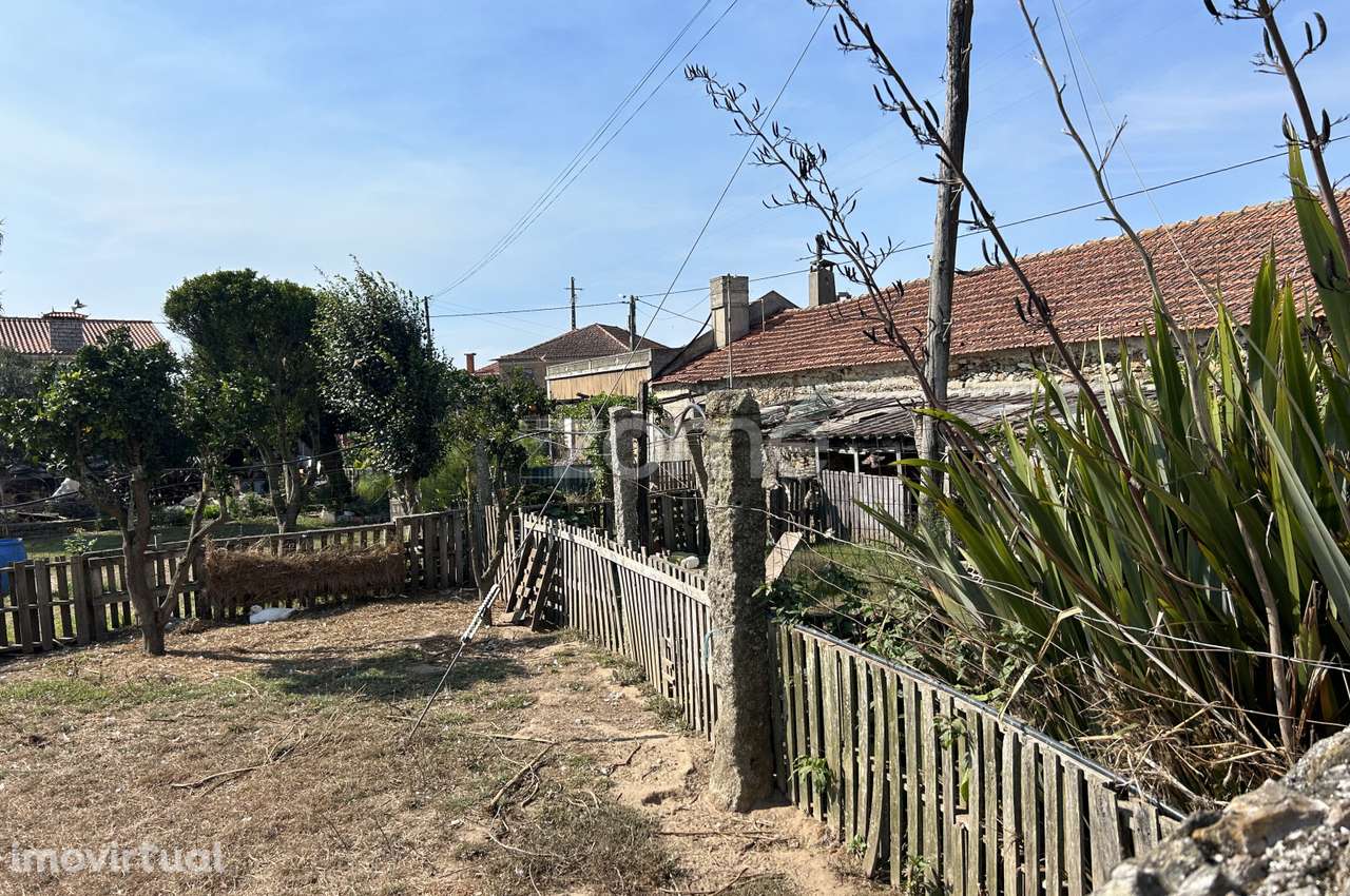 Casa com terreno de 2000 m2 em Criaz Apúlia - Grande imagem: 5/17