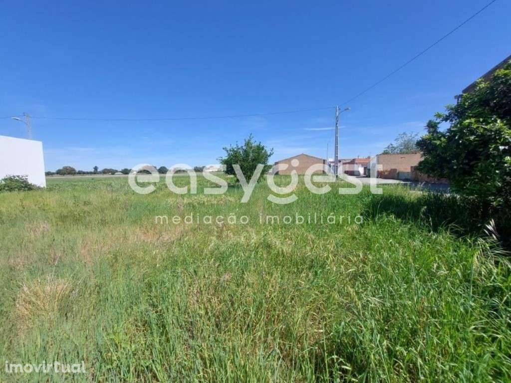 Moradia para recuperar com 2 quartos na aldeia dos Gasparões - Grande imagem: 4/14