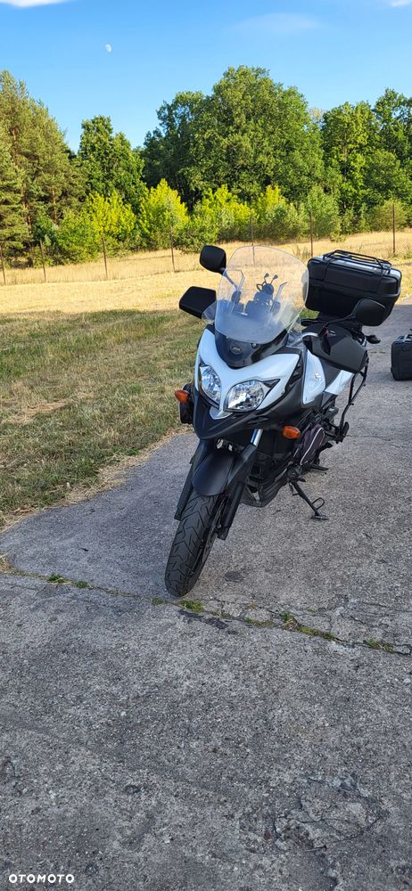 Suzuki DL - 15