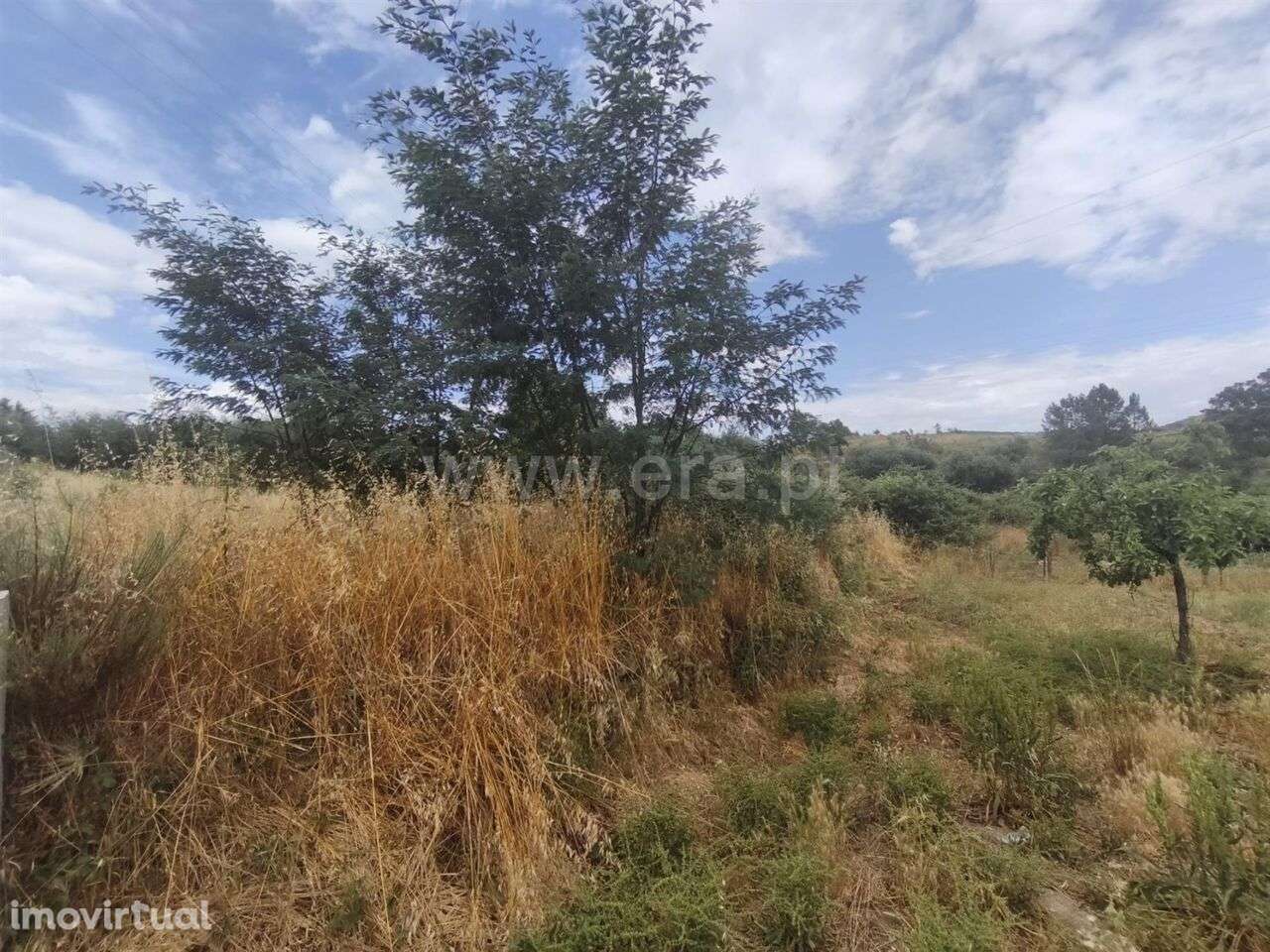 Terreno Rústico / Fundão, Silvares - Grande imagem: 2/3