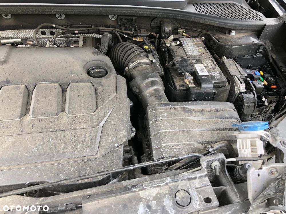 Cupra Formentor 2.0 TDI - 12