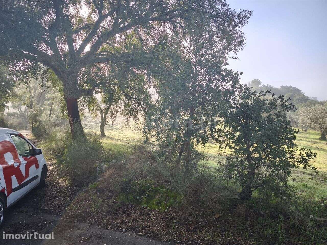 Terreno / Fundão, Telhado - Grande imagem: 4/8