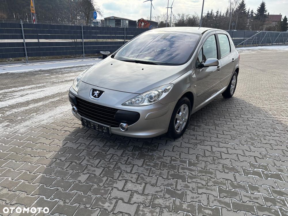 Peugeot 307 1.4 XR - 9