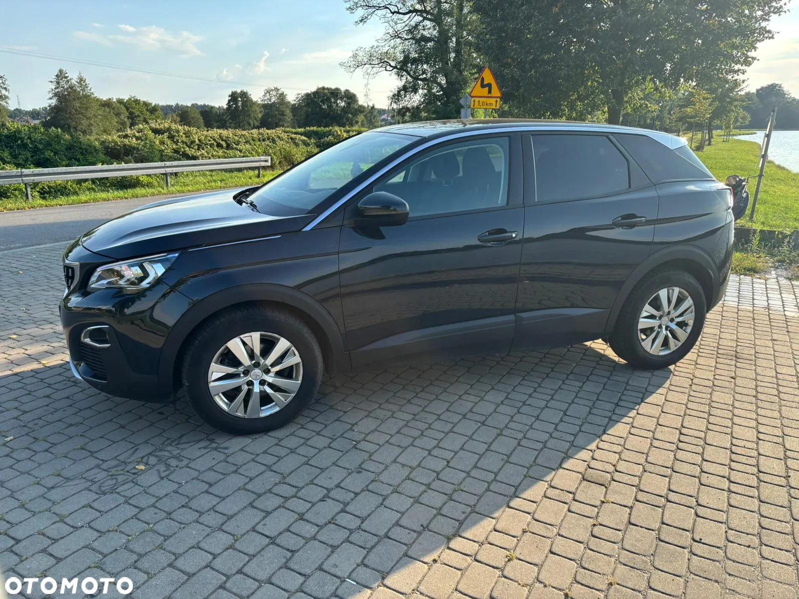 Peugeot 3008 1.6 BlueHDi Active S&S - 13